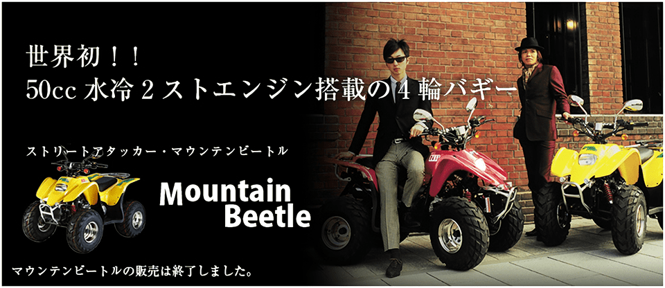 MOUNTAIN BEETLE